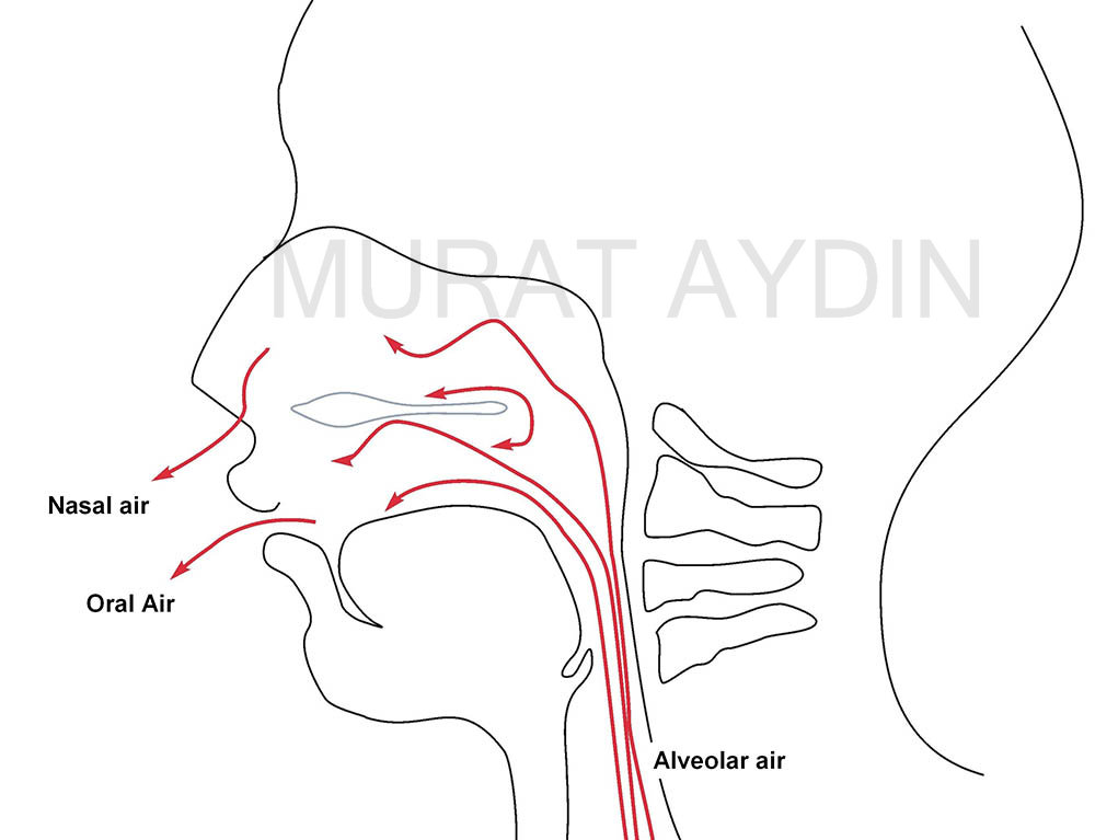 Ağız burun nefes gazları karışım şeması Dr Murat Aydın